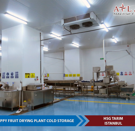 Appy Fruit Drying Plant Cold Storage Depots